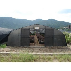 Film Type Mushroom Growing Greenhouse Customizable With High Shoulder Height