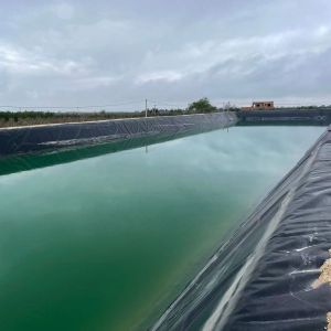 Buy cheap 1m-8m Width HDPE Geomembrane Pond Liners for Fish Shrimp Farm Black White Green Blue from wholesalers