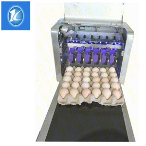 Buy cheap SGS Egg Stamping Equipment / Egg Printer Machine With 6 Head from wholesalers