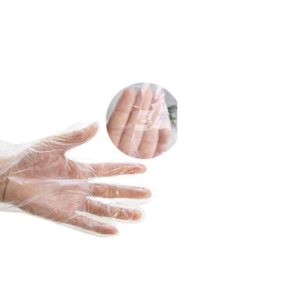 Quality Biodegradable Disposable Transparent Clear Plastic Gloves OEM / ODM Available for sale