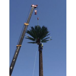 Buy cheap 40m Grd Monopole Pine Tree Tower Camouflaged from wholesalers