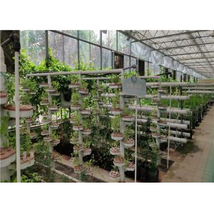 Buy cheap Glass Cover Hydroponic Greenhouse Simple Structure With Large Inner Room product