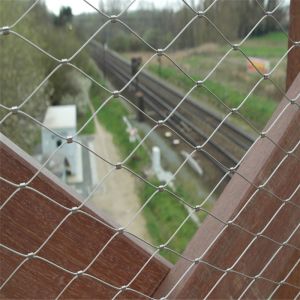 Stainless Steel Wire Rope Mesh Net As Architecture Plant Trellis