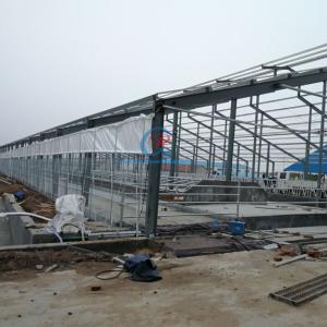 Buy cheap Prefabricated Steel Structure Cow Shed Customized Steel Frame Shed from wholesalers