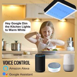 Buy cheap 2x2ft Smart Skylight Panel 150W 5000lm+ 2100–7500K Mesh 5.0 DALI 0-10V Sun Simulation Scenes from wholesalers