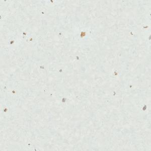 Buy cheap 3.0mm Thickness Homogeneous Flooring Sustainable High Stain Resistance from wholesalers