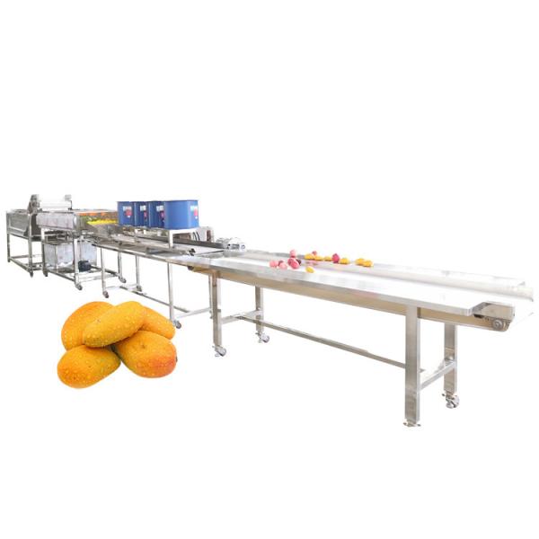 Buy cheap Commercial Fruit And Vegetable Processing Machine Industrial Peach Sorting Washing Machine from wholesalers