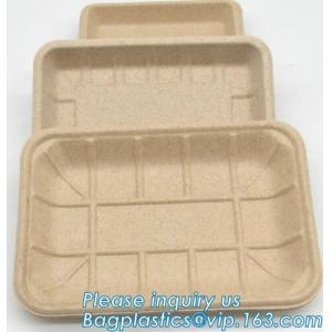 corn starch biodegradable meat tray corn starch dinnerware sets biodegradable