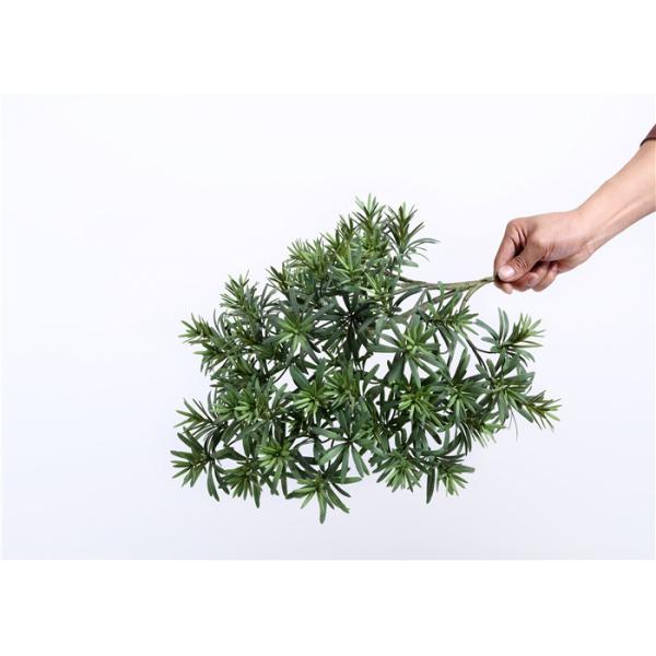 Buy cheap D077 Artificial Evergreen Branches , Artificial Flower Branches Podocarpus Macrophyllus from wholesalers