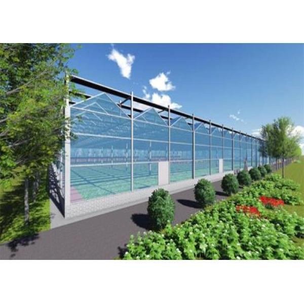 Quality Single Layer Glass Venlo Type Greenhouse Equipped With Hydroponic Technology for sale