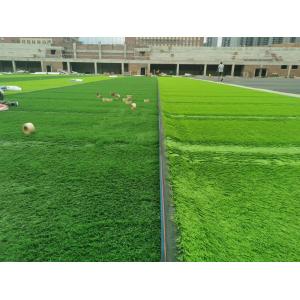 Buy cheap Advanced Weaving Technique Synthetic Grass Field With Disease Resistant Yarn from wholesalers