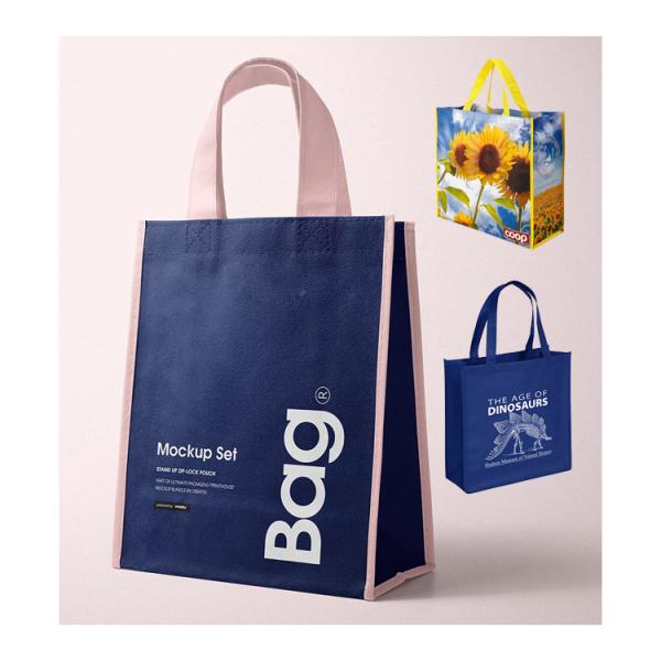 Buy cheap Promotional Reusable Foldable PP Non Woven Shopping Bag from wholesalers