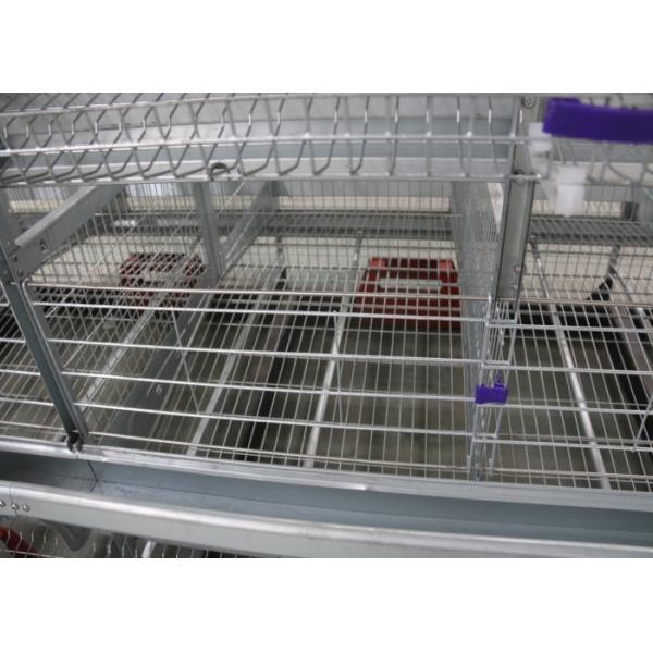 Buy cheap High Strength Layer Farming Equipment 160 Birds Capacity SONCAP Certification from wholesalers
