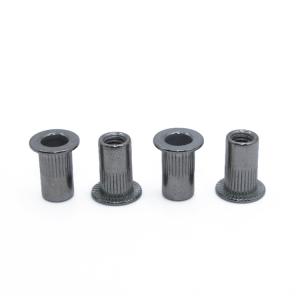 ISO Standard Galvanized Stainless Steel Blind Rivet Insert Screws with Bright