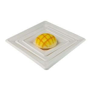 Buy cheap 6Inch Biodegradable Sugarcane Bagasse Plates Square Retangular Plate 7Inch from wholesalers