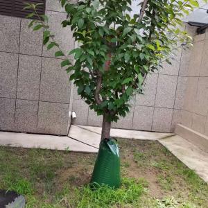 Buy cheap Green 2 Packs 15 Gallon Slow Release Self Drip Irrigation Tree Watering Bag CE/ISO Approved from wholesalers