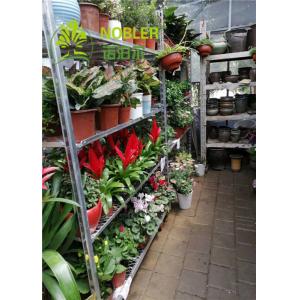 Iron Material Danish Car Danish Flower Trolley To Seedling Sprout