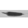 Buy cheap Food Industry And Beverage X Ray Machine AI Deep Learning Algorithm Automatically Identify And Remove Foreign Objects from wholesalers