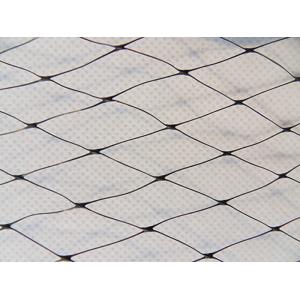 Insect Protection Nets/Insect Net/Anti Bird Net