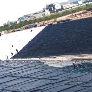 HDPE Geomembrane Film for Reservoir Mining Shrimp Farm Dam Liner Fish Pond