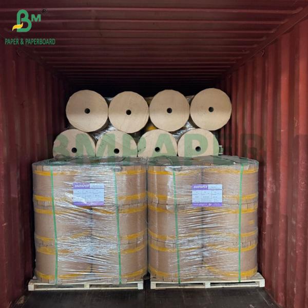 Quality Breathable 56gsm Mango Guava Fruit Bag Protection Paper 370mm Waterproof for sale