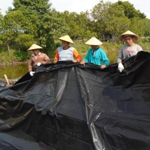 Buy cheap Black White Blue Green customized HDPE Geomembrane Liner for Pond Farming Waterproof from wholesalers