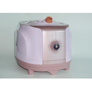 Buy cheap Laundry Garment Steamer With Stand , Wrinkle Remover Fabric Clothes Steamer from wholesalers