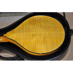 Buy cheap Factory custom Handmade custom advanced 8 strings mandolin electric guitar with ebony fretboard from wholesalers