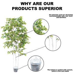 Buy cheap SGS Real Touch Fiddle Leaf Fig Artificial Potted White Birch Tree With Leaves 1.8m 6ft Tall from wholesalers