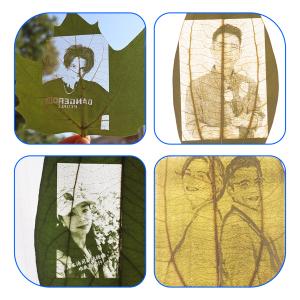 Buy cheap 10W Blue Light Small Portable Automatic Laser Engraving Machine For Leaf Wood Chip Leather Metal Cardboard Plastic Acrylic from wholesalers