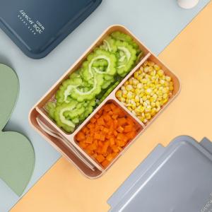 Three Compartment Sealed Plastic Lunch Box 1250ML For Student
