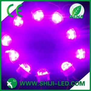 Smart Colorful RGB LED Pixel Fun Fair Ball Light 12V SMD5050 30000H Lifespan