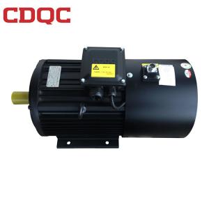 Ac Electric Variable Frequency Induction Motor 220v 50 Hz UABPD Series