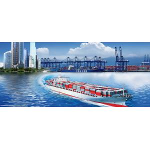 Buy cheap DDP Cargo Ship From China To Australia from wholesalers