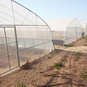 Buy cheap Side Ventilation Tunnel Plastic Greenhouse Cold And Wind Resistant from wholesalers