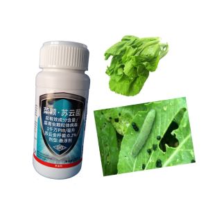 Ecological Organic Vegetable Insecticides Rapae Granulosis Virus PrGV Kill