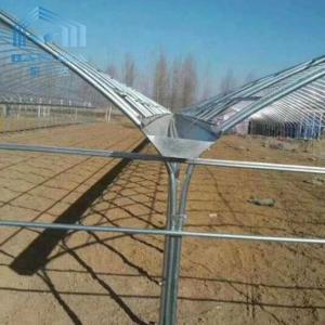 Buy cheap Top Ventilation Multi Span Plastic Tunnel Greenhouse Rustproof from wholesalers