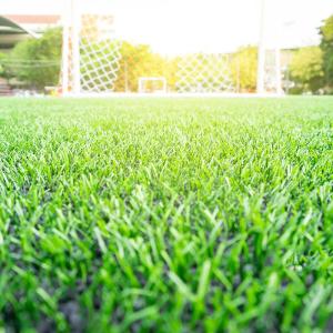 Buy cheap 2*25m PP Natural Artificial Grass 12000 Dtex Multi Sports Turf from wholesalers