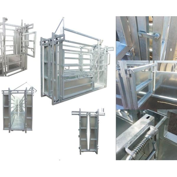 Cattle Crush / Hot Dipped Galvanized