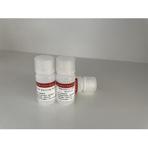 Buy cheap Cervical Cancer Screening Staining Reagent , 50mL Pap Staining Kit from wholesalers
