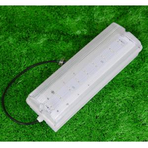Intelligent Bulkhead Emergency Light High Brightness With Emergency Exit Sign