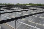 Buy cheap PC Sheet Commercial Outdoor Greenhouse , Cooling Pad Greenhouse Shading Systems from wholesalers
