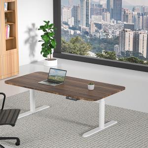 Customizable Dual Motor White Electric Standing Desk for Minimalist Office