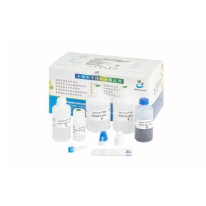 Buy cheap 40T/Kit Sperm DNA Fragmentation Kit from wholesalers