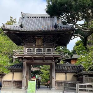 Buy cheap 10mm Thick Japanese Roof Tiles Temple Matt Unglazed Traditional from wholesalers