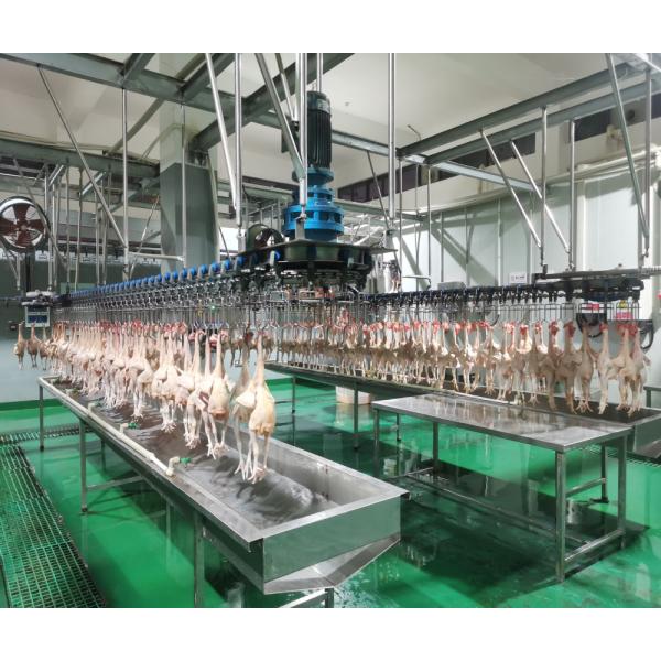 Quality 300 Chickens / H Poultry Farming Equipment Scalding Plucking Slaughtering Machine for sale