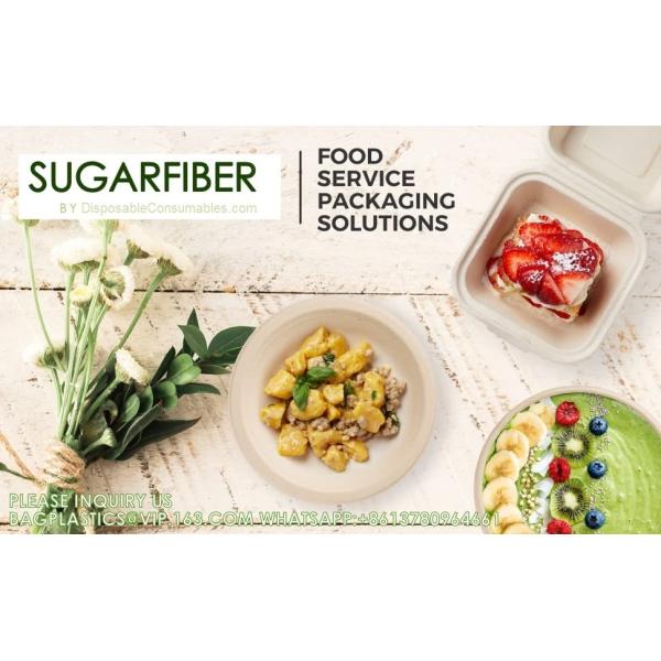 Wholesale Sugarcane Bagasse Pulp Lunch Box Takeaway Food Container Diaposiable Recyclable Sugarcane Packaging Box