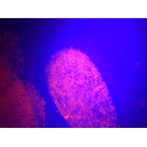 C061 Red fluorescent small particle reagent