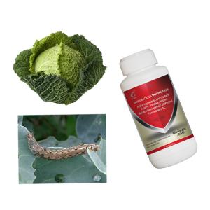 Buy cheap Keep Your Corn Healthy with Maize Crop Pesticides Liquid Formulation and 2 Years Shelf Life from wholesalers