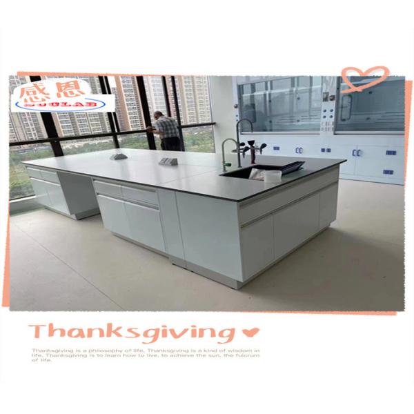 Buy cheap Smooth Functionality Chemistry Lab Bench laboratory Workbenches- Polished Surface Multifunctional Design from wholesalers